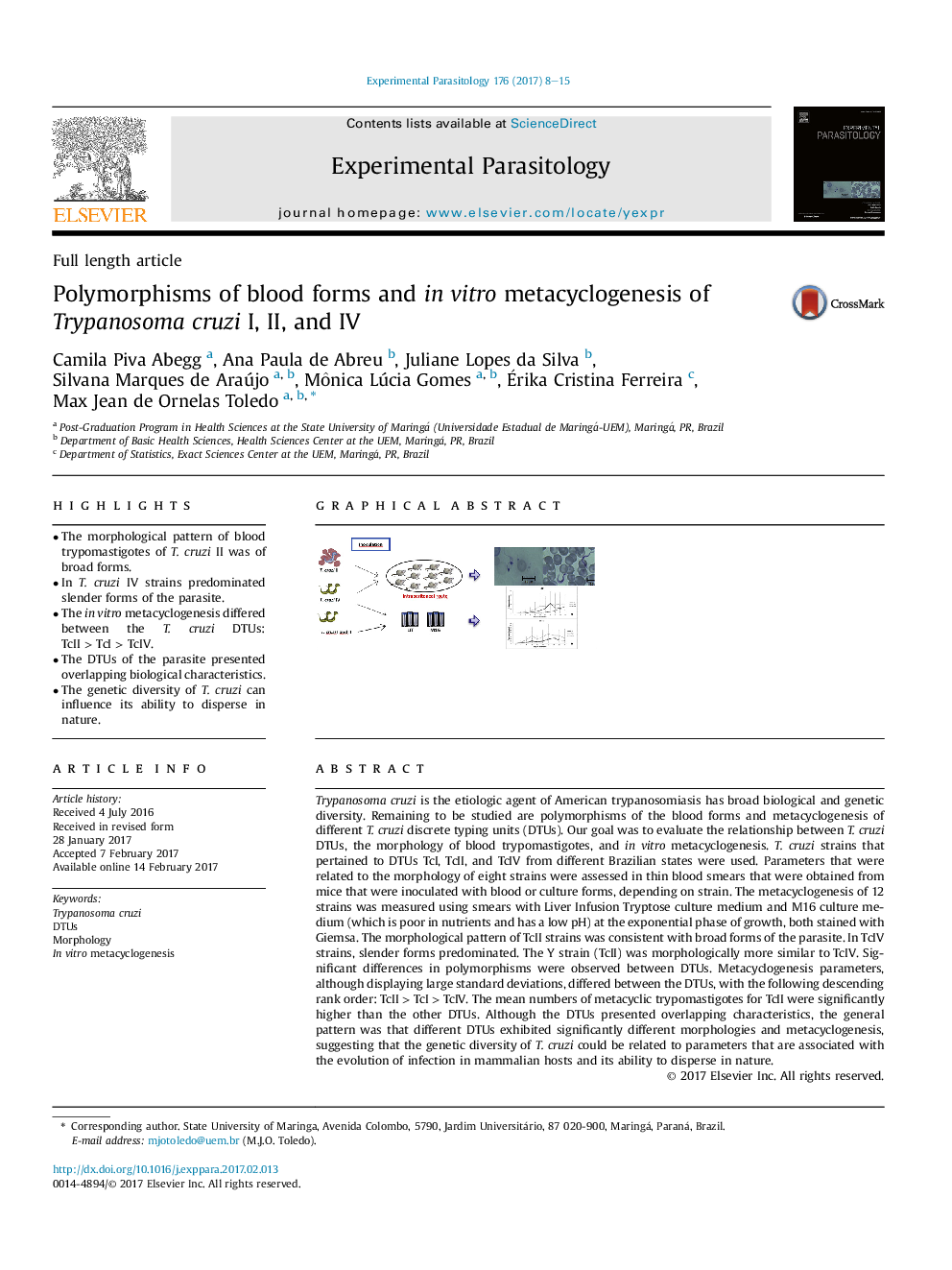 Full length articlePolymorphisms of blood forms and inÂ vitro metacyclogenesis of Trypanosoma cruzi I, II, and IV