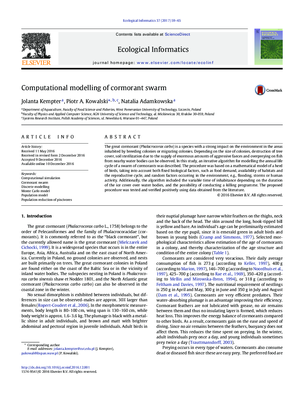 Computational modelling of cormorant swarm