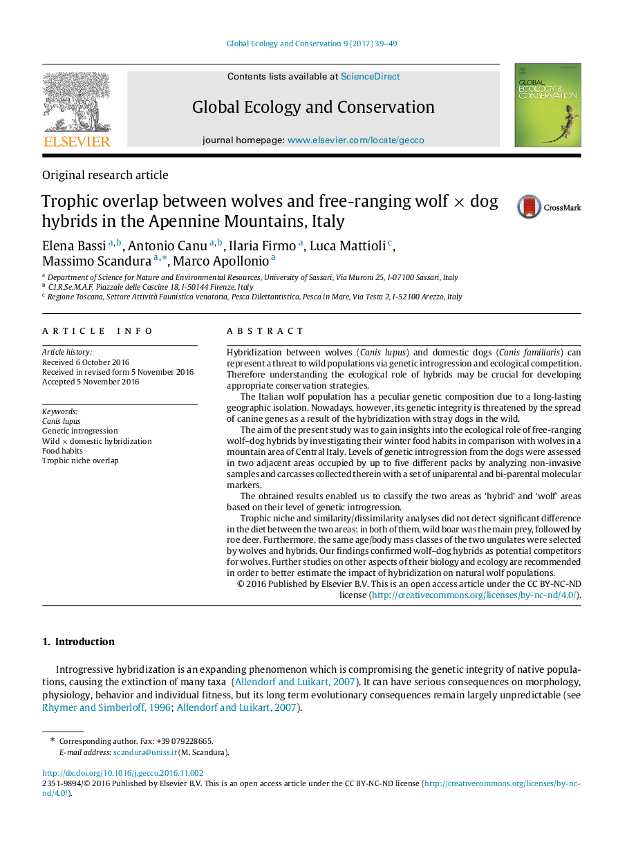 Trophic overlap between wolves and free-ranging wolf Ã dog hybrids in the Apennine Mountains, Italy