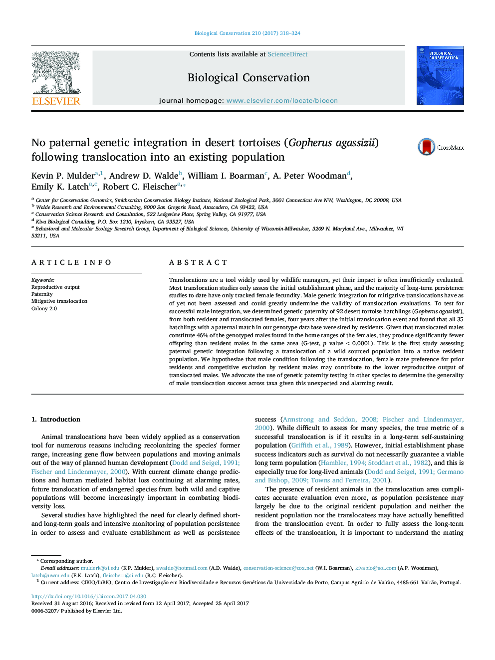 No paternal genetic integration in desert tortoises (Gopherus agassizii) following translocation into an existing population