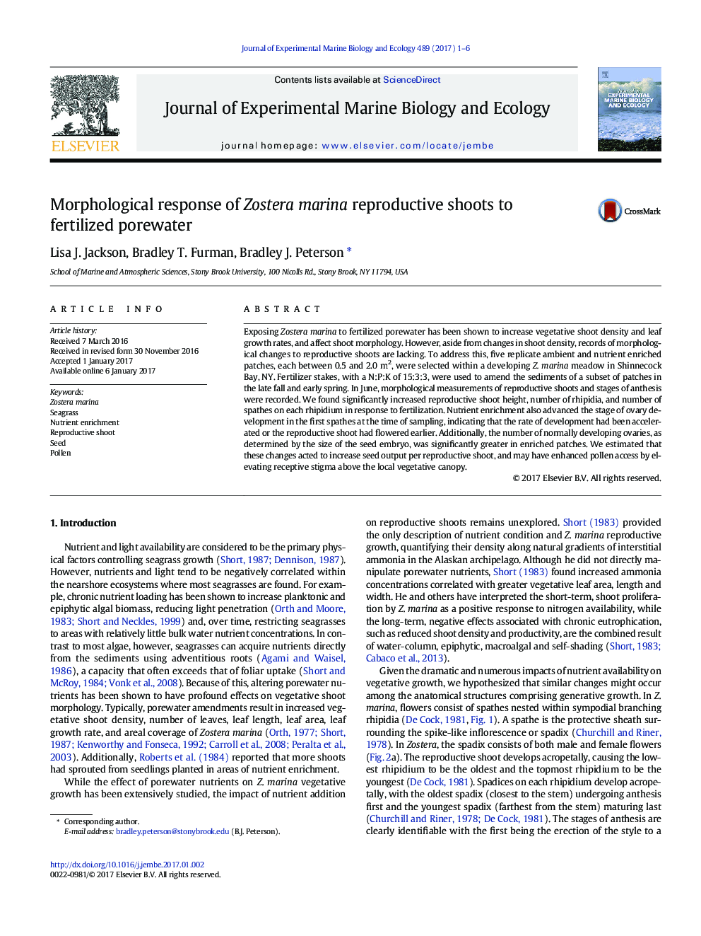 Morphological response of Zostera marina reproductive shoots to fertilized porewater