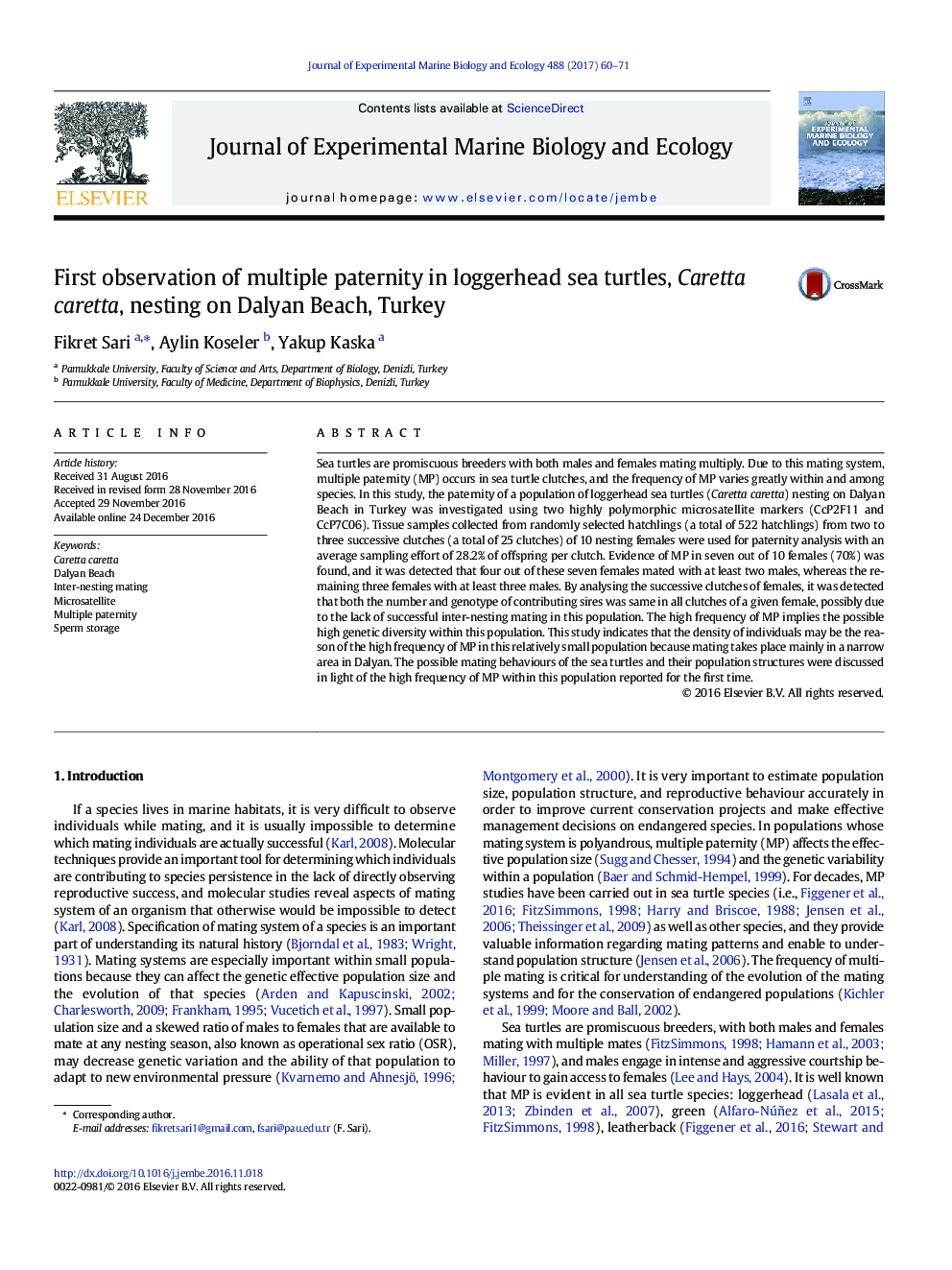 First observation of multiple paternity in loggerhead sea turtles, Caretta caretta, nesting on Dalyan Beach, Turkey