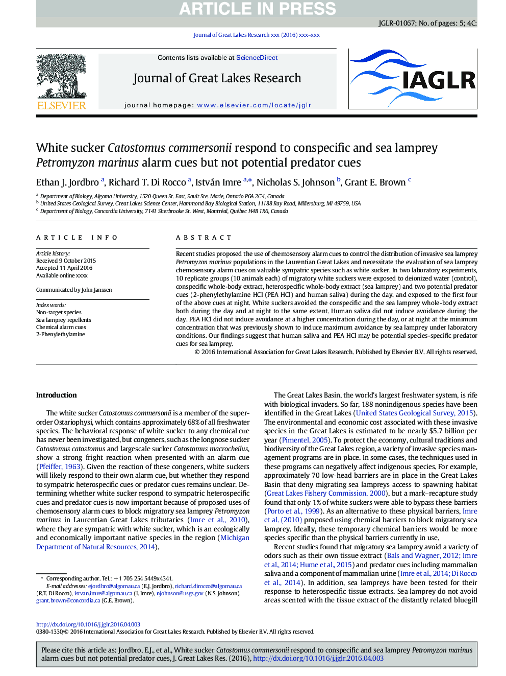 White sucker Catostomus commersonii respond to conspecific and sea lamprey Petromyzon marinus alarm cues but not potential predator cues