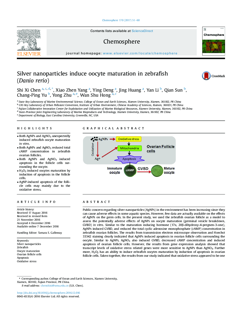 Silver nanoparticles induce oocyte maturation in zebrafish (Danio rerio)