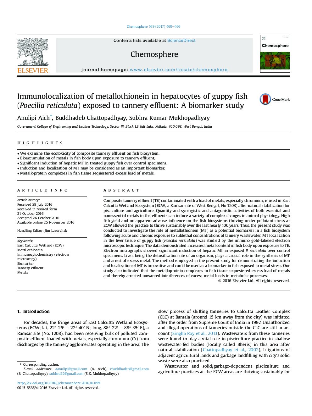 Immunolocalization of metallothionein in hepatocytes of guppy fish (Poecilia reticulata) exposed to tannery effluent: A biomarker study