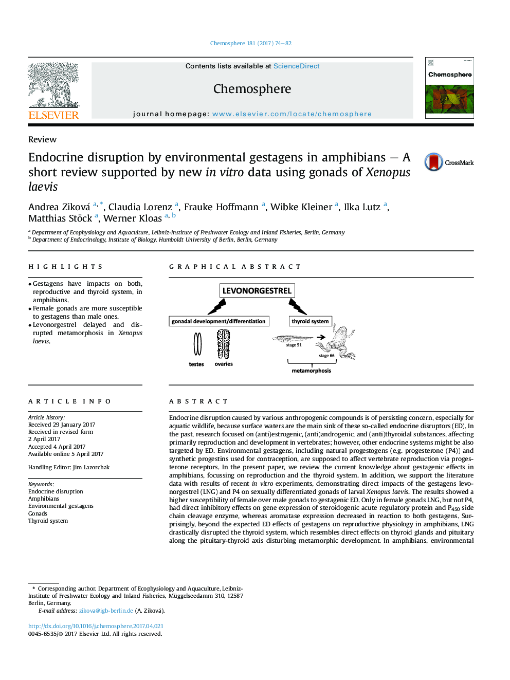 ReviewEndocrine disruption by environmental gestagens in amphibians - A short review supported by new inÂ vitro data using gonads of Xenopus laevis