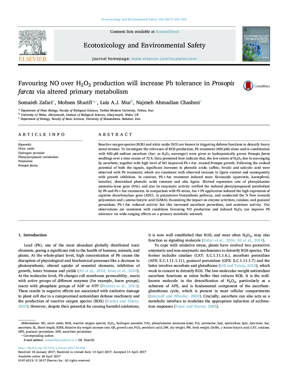 Favouring NO over H2O2 production will increase Pb tolerance in Prosopis farcta via altered primary metabolism