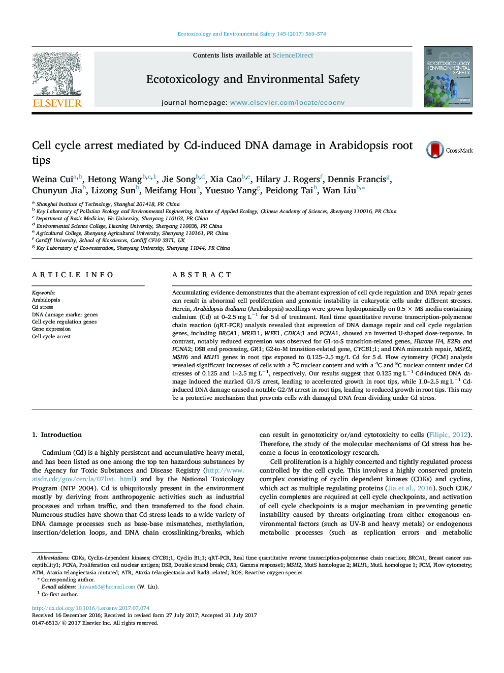 Cell cycle arrest mediated by Cd-induced DNA damage in Arabidopsis root tips