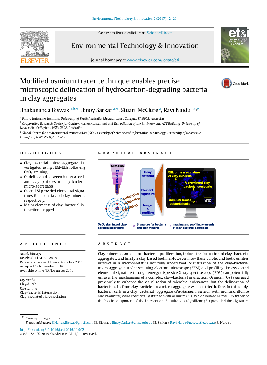 تکنیک اصلاح شده اسسمو می تواند دقیق تشریح میکروسکوپی از باکتری های تجزیه کننده هیدروکربن را در سنگ های رس 