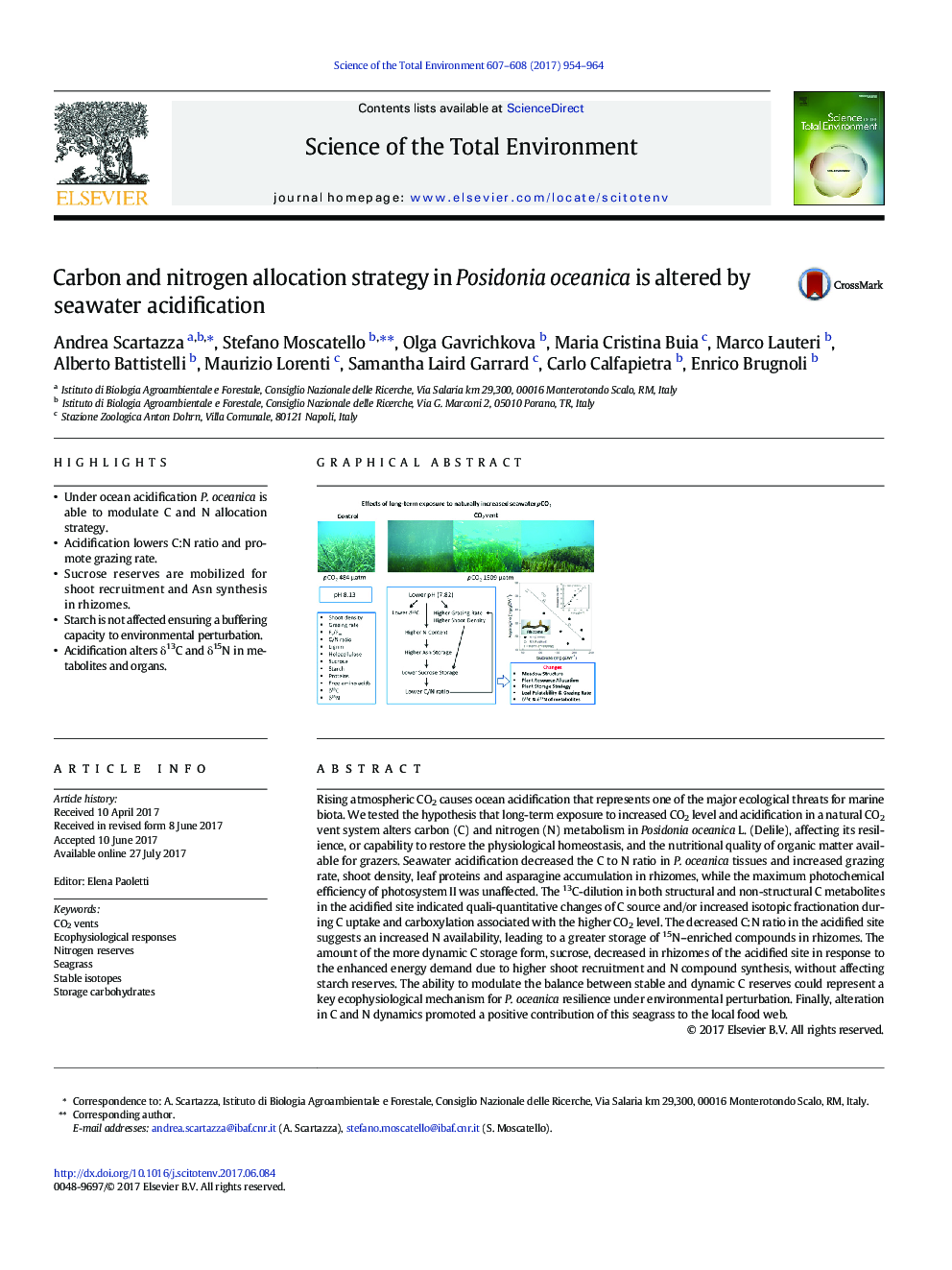 Carbon and nitrogen allocation strategy in Posidonia oceanica is altered by seawater acidification