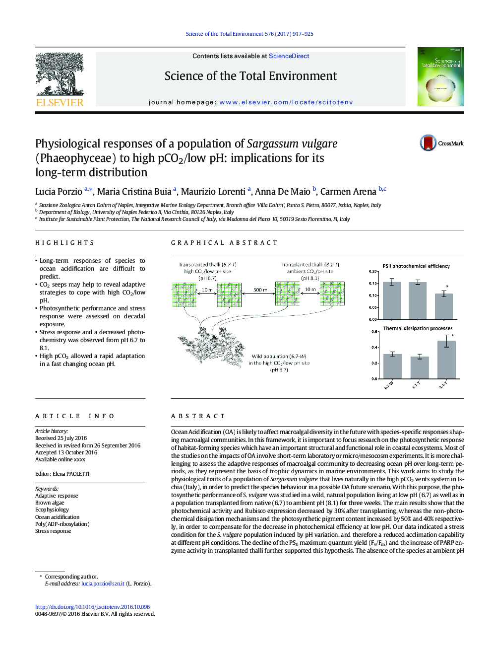 Physiological responses of a population of Sargassum vulgare (Phaeophyceae) to high pCO2/low pH: implications for its long-term distribution