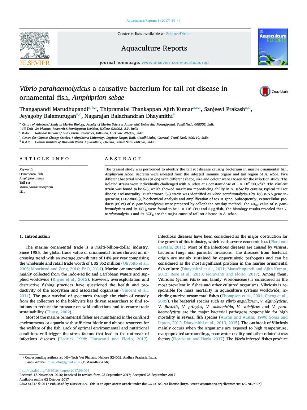 Vibrio parahaemolyticus a causative bacterium for tail rot disease in ornamental fish, Amphiprion sebae