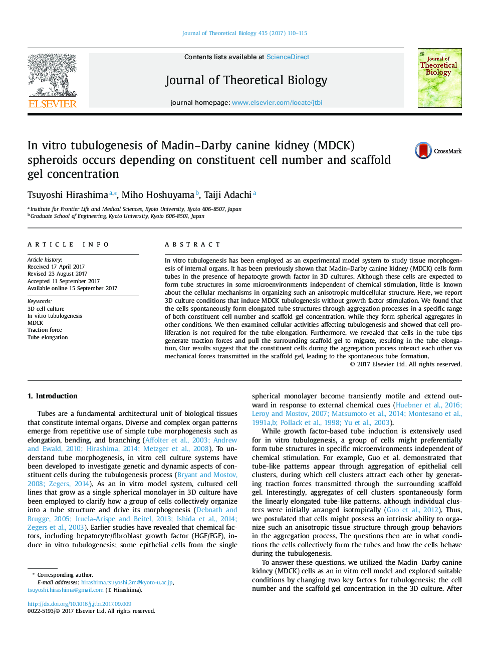 In vitro tubulogenesis of Madin-Darby canine kidney (MDCK) spheroids occurs depending on constituent cell number and scaffold gel concentration