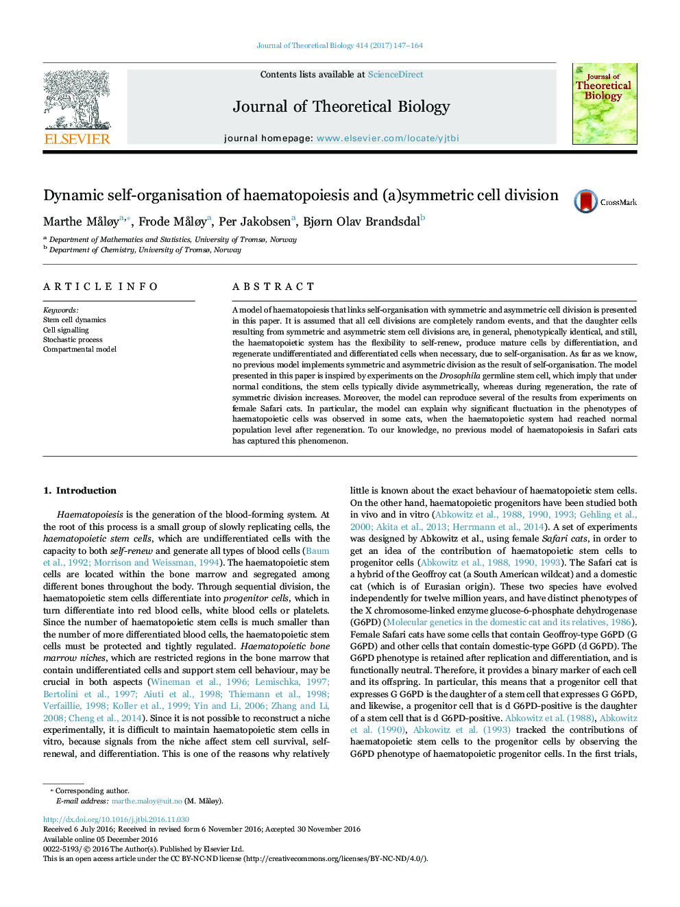 Dynamic self-organisation of haematopoiesis and (a)symmetric cell division