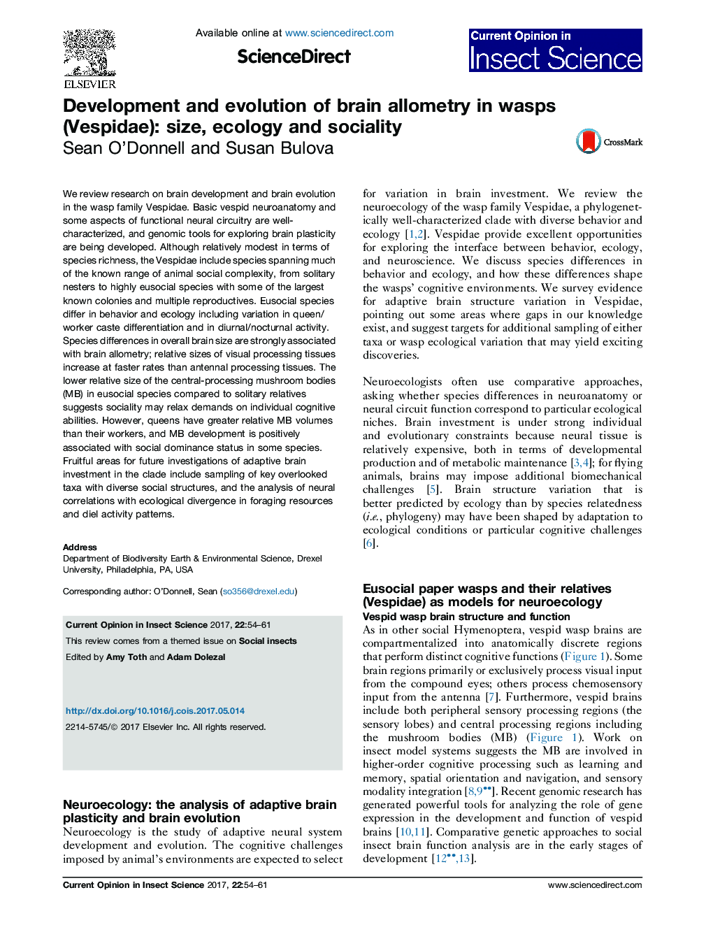 Development and evolution of brain allometry in wasps (Vespidae): size, ecology and sociality