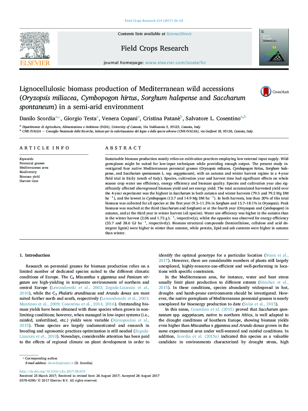 Lignocellulosic biomass production of Mediterranean wild accessions (Oryzopsis miliacea, Cymbopogon hirtus, Sorghum halepense and Saccharum spontaneum) in a semi-arid environment