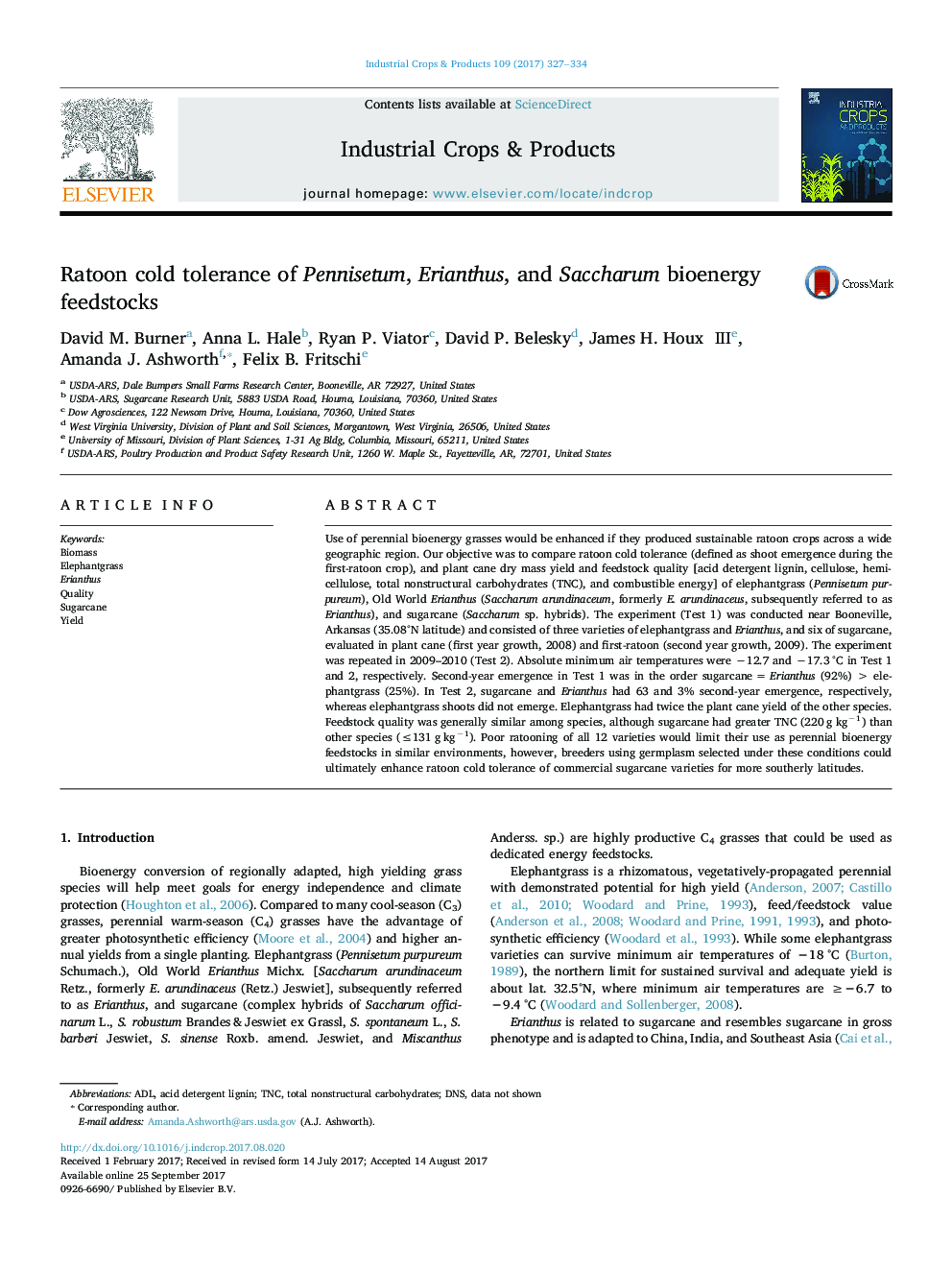 Ratoon cold tolerance of Pennisetum, Erianthus, and Saccharum bioenergy feedstocks