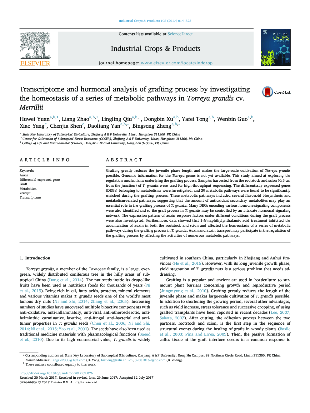 Transcriptome and hormonal analysis of grafting process by investigating the homeostasis of a series of metabolic pathways in Torreya grandis cv. Merrillii