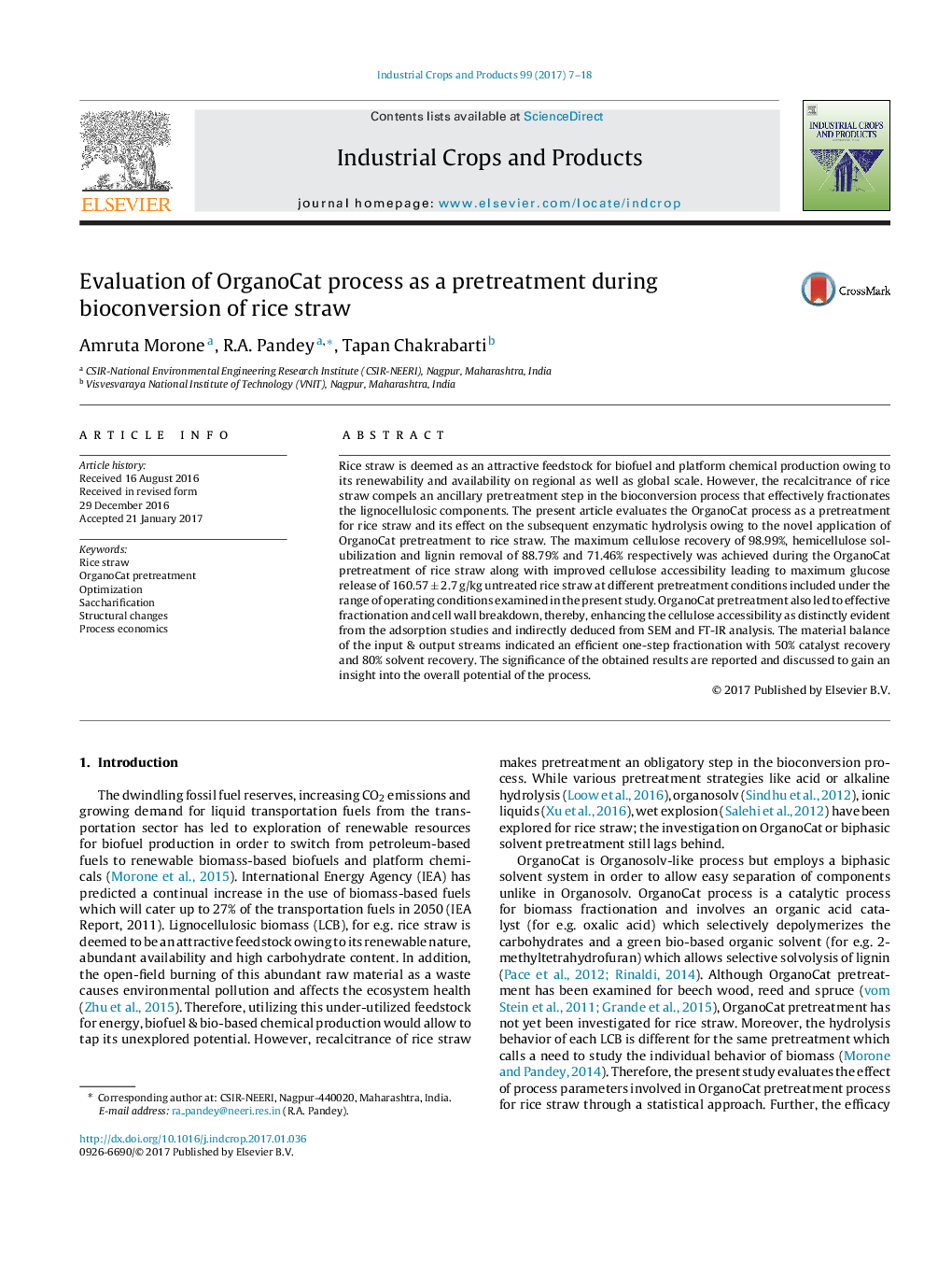 Evaluation of OrganoCat process as a pretreatment during bioconversion of rice straw