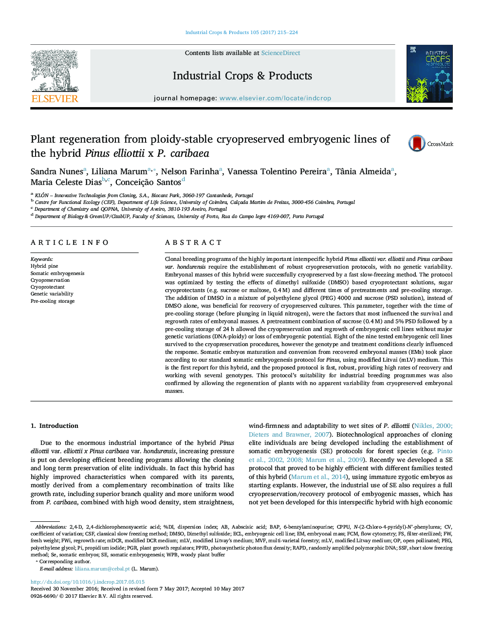 Plant regeneration from ploidy-stable cryopreserved embryogenic lines of the hybrid Pinus elliottii x P. caribaea