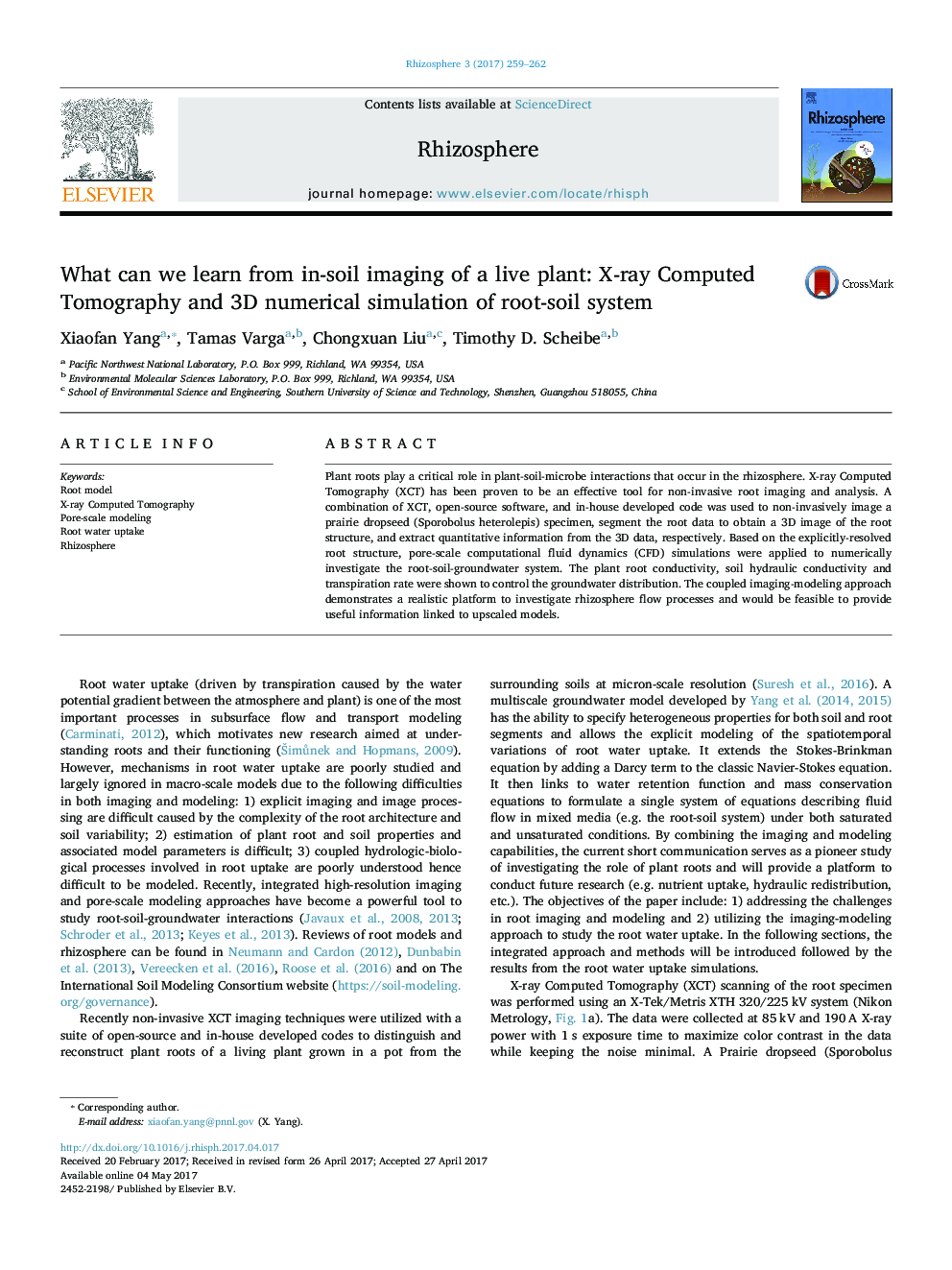 What can we learn from in-soil imaging of a live plant: X-ray Computed Tomography and 3D numerical simulation of root-soil system