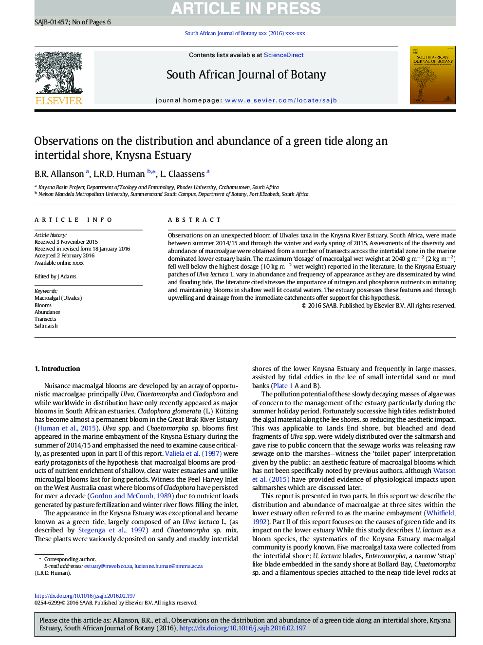 Observations on the distribution and abundance of a green tide along an intertidal shore, Knysna Estuary