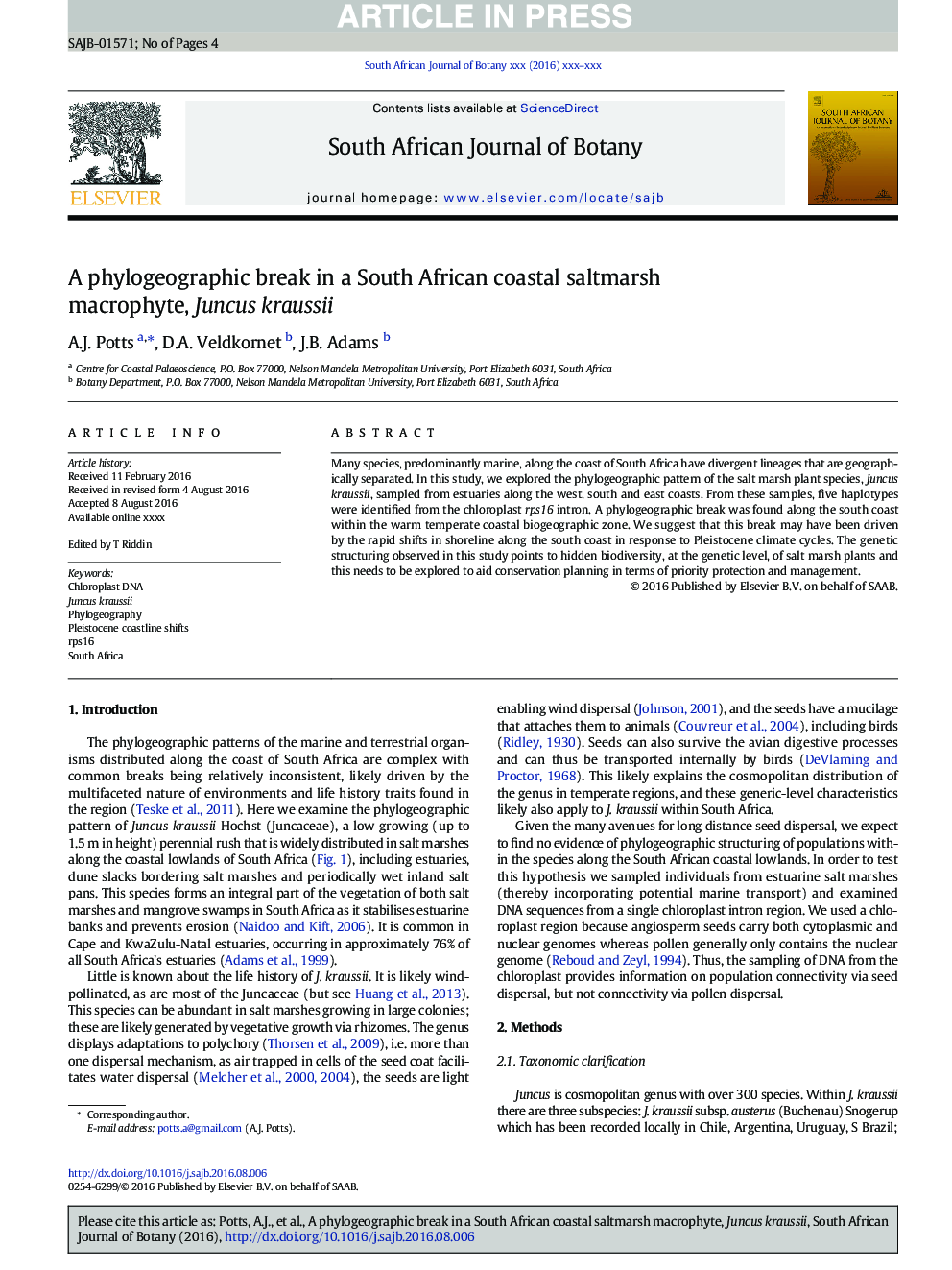 A phylogeographic break in a South African coastal saltmarsh macrophyte, Juncus kraussii