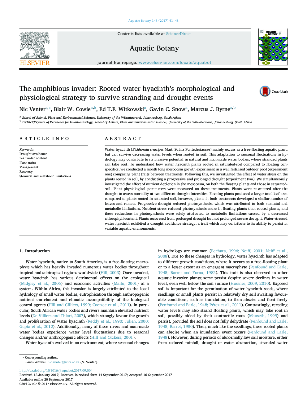 The amphibious invader: Rooted water hyacinth's morphological and physiological strategy to survive stranding and drought events