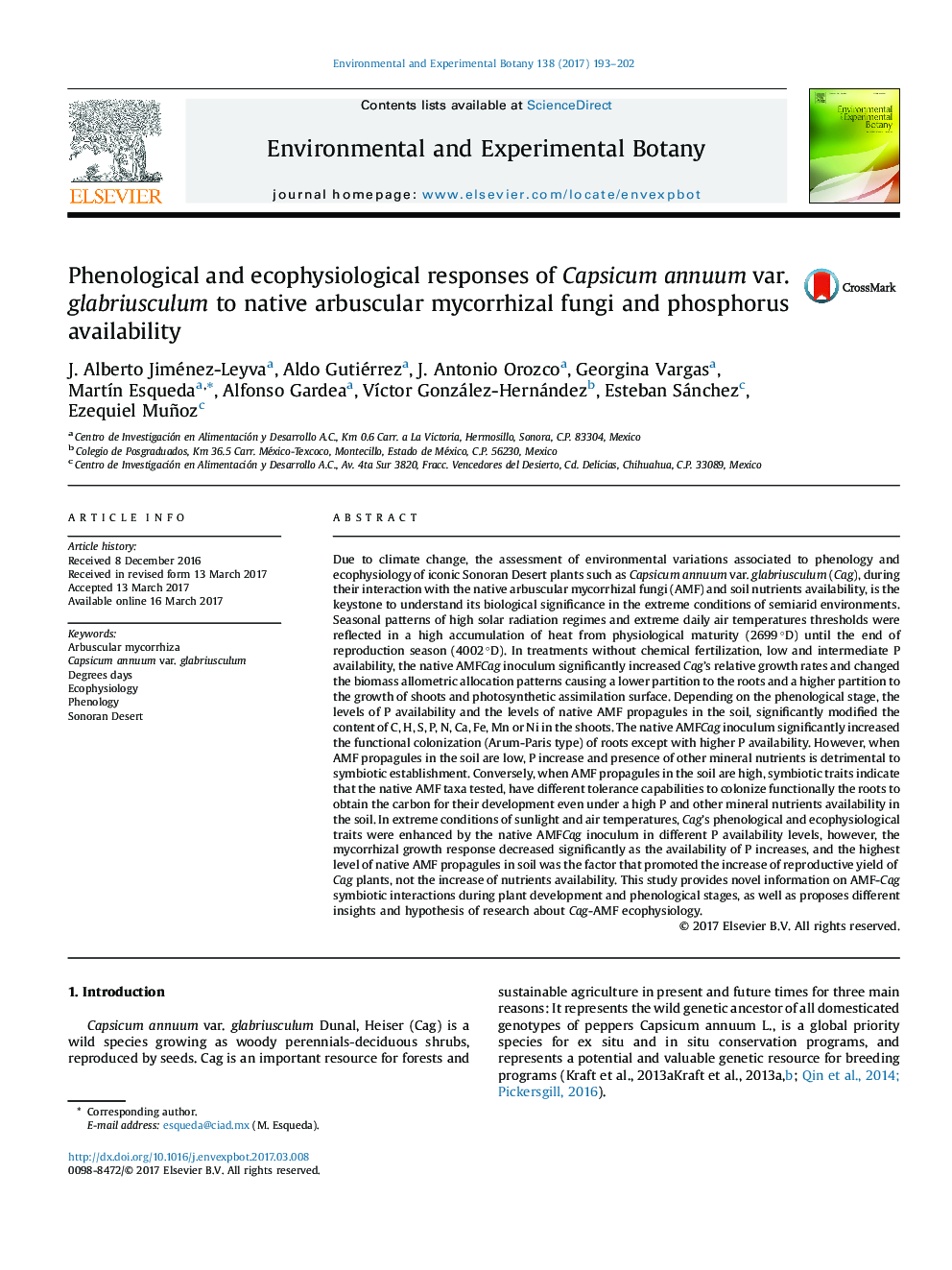 Phenological and ecophysiological responses of Capsicum annuum var. glabriusculum to native arbuscular mycorrhizal fungi and phosphorus availability