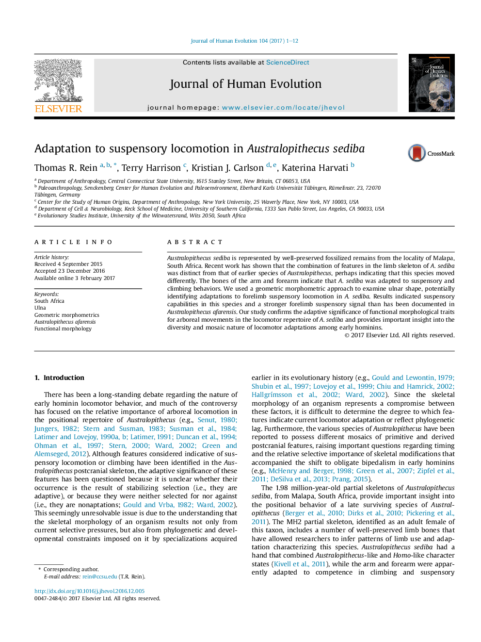 Adaptation to suspensory locomotion in Australopithecus sediba