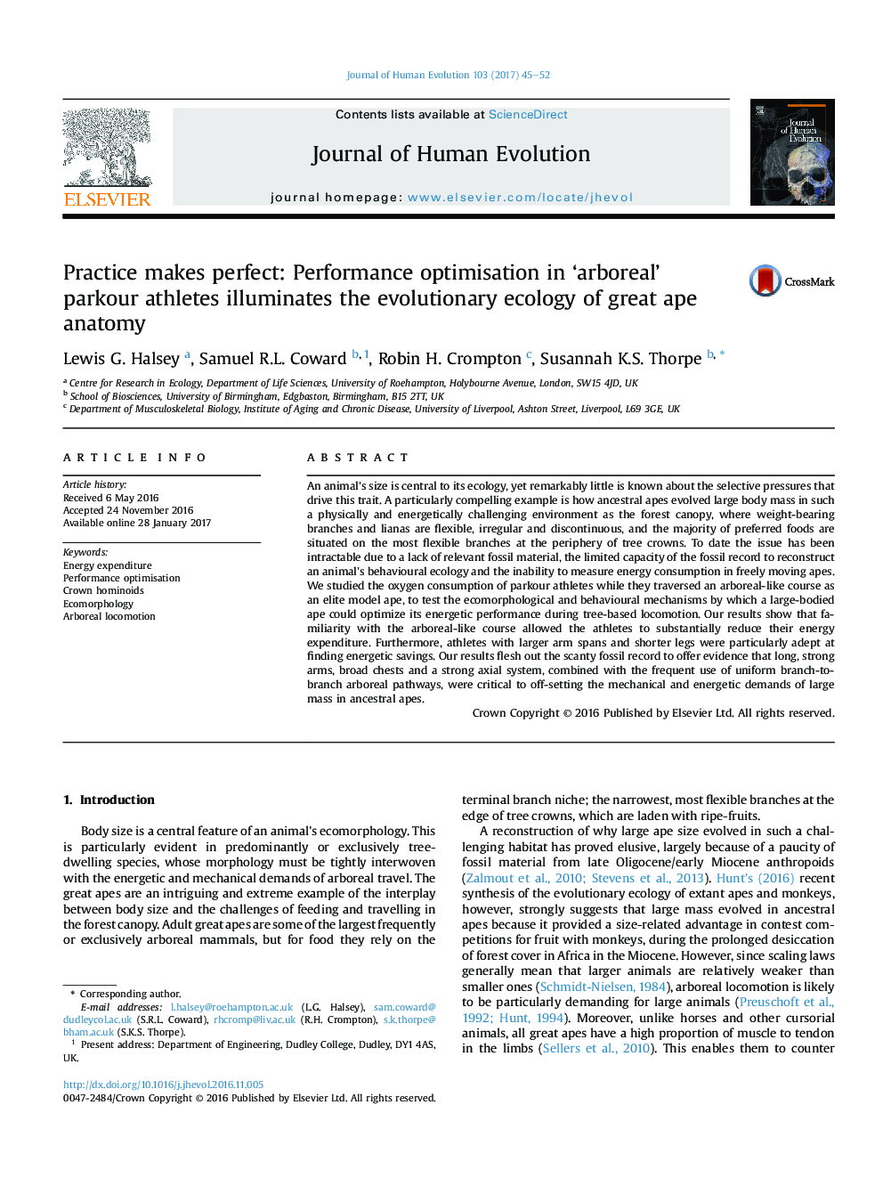 Practice makes perfect: Performance optimisation in 'arboreal' parkour athletes illuminates the evolutionary ecology of great ape anatomy