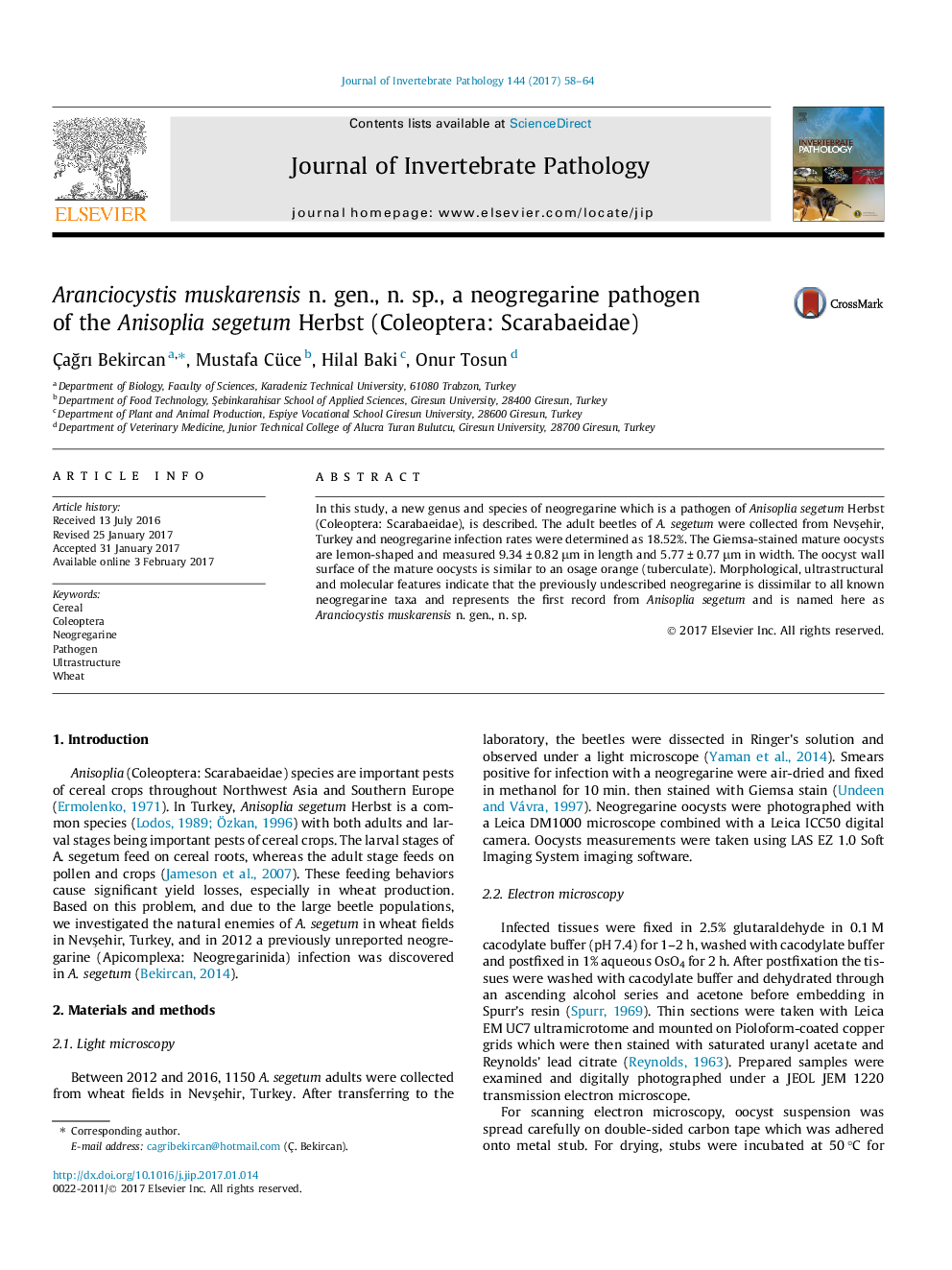 Aranciocystis muskarensis n. gen., n. sp., a neogregarine pathogen of the Anisoplia segetum Herbst (Coleoptera: Scarabaeidae)