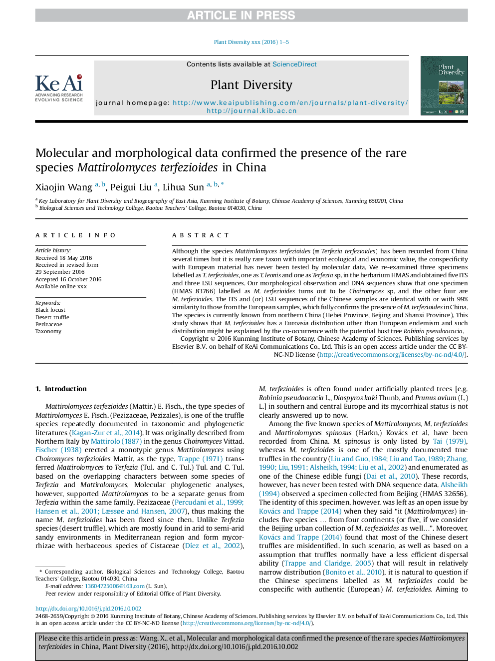 Molecular and morphological data confirmed the presence of the rare species Mattirolomyces terfezioides in China