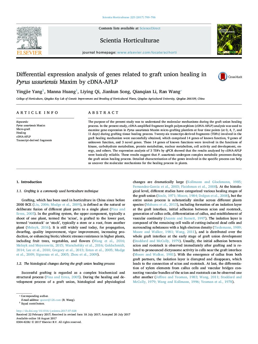 Differential expression analysis of genes related to graft union healing in Pyrus ussuriensis Maxim by cDNA-AFLP