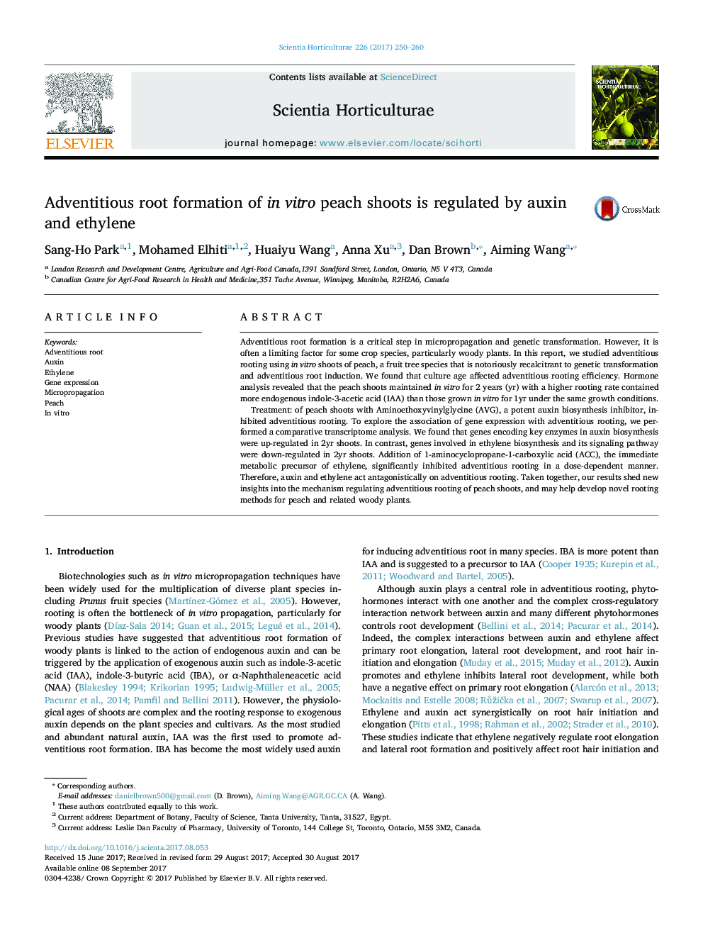 Adventitious root formation of in vitro peach shoots is regulated by auxin and ethylene