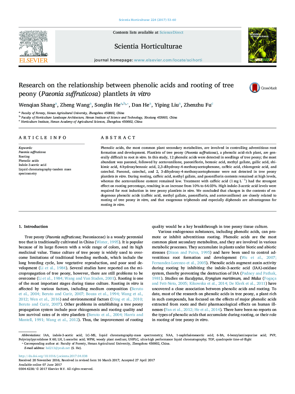 Research on the relationship between phenolic acids and rooting of tree peony (Paeonia suffruticosa) plantlets in vitro