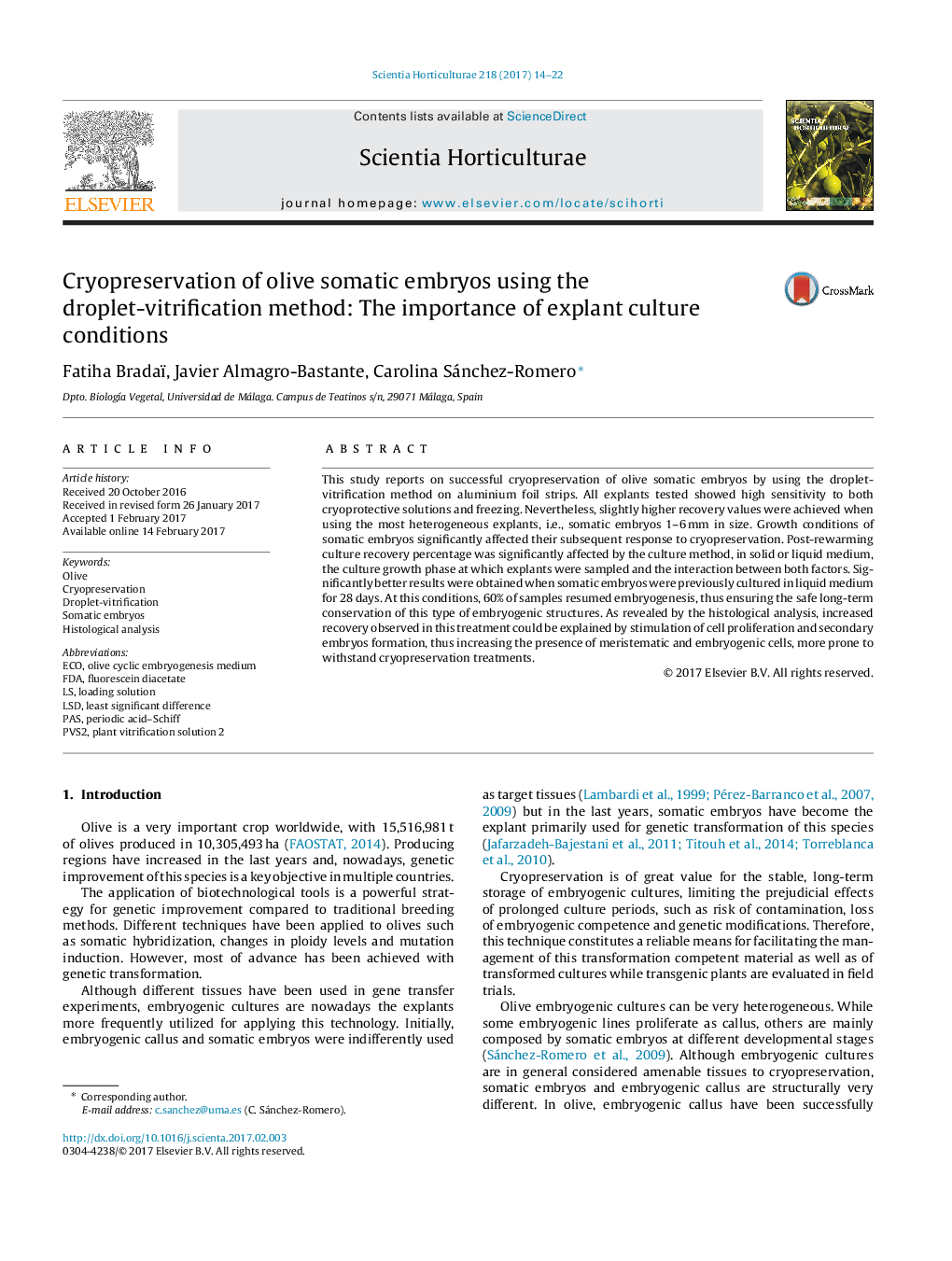 Cryopreservation of olive somatic embryos using the droplet-vitrification method: The importance of explant culture conditions