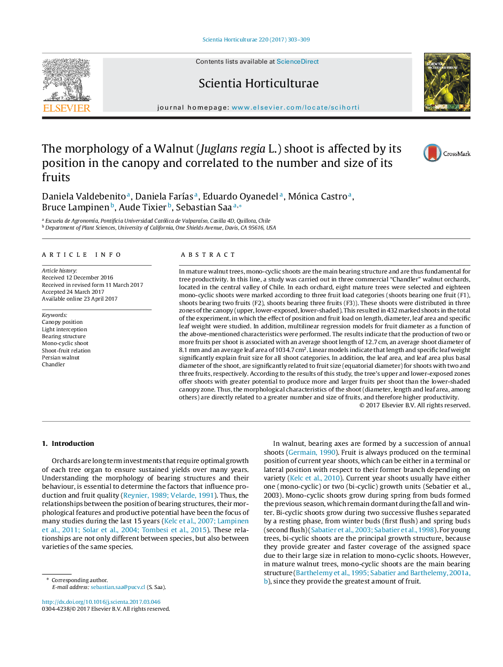 The morphology of a Walnut (Juglans regia L.) shoot is affected by its position in the canopy and correlated to the number and size of its fruits