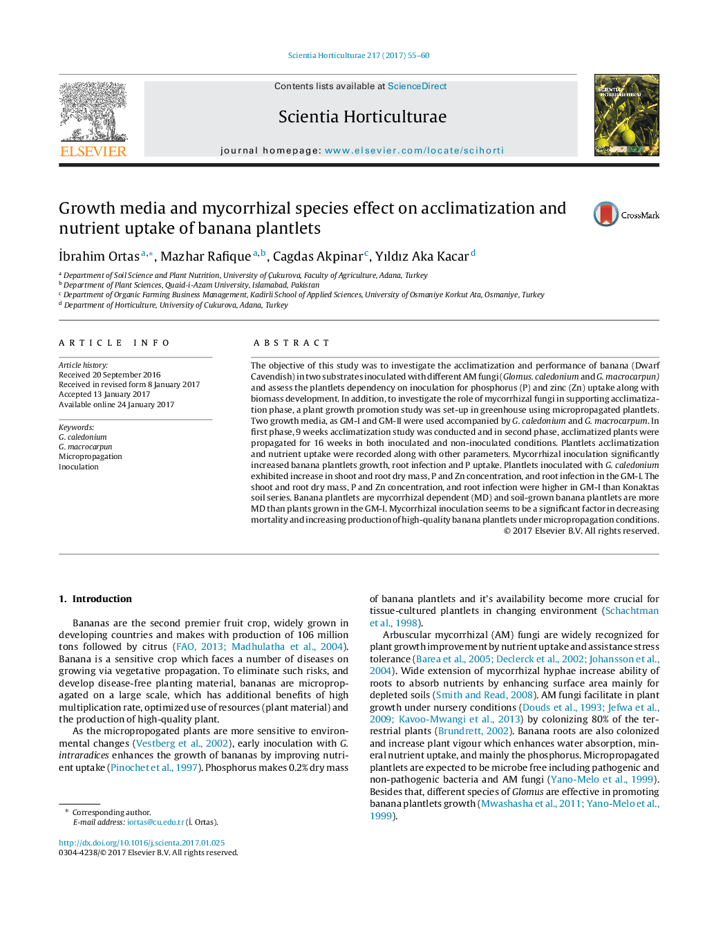 Growth media and mycorrhizal species effect on acclimatization and nutrient uptake of banana plantlets