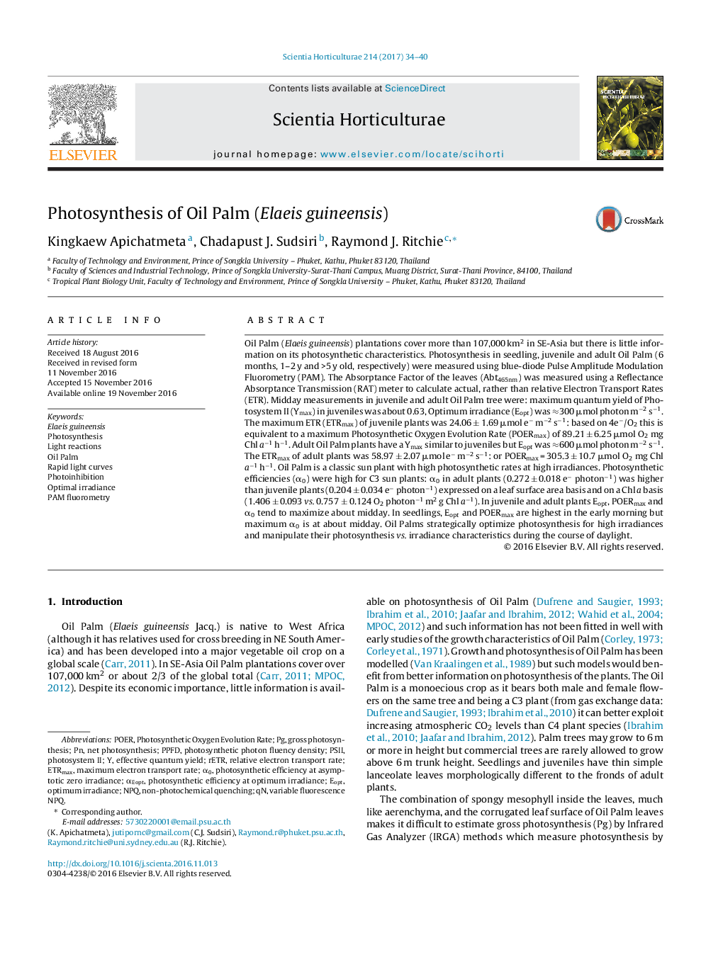 Photosynthesis of Oil Palm (Elaeis guineensis)