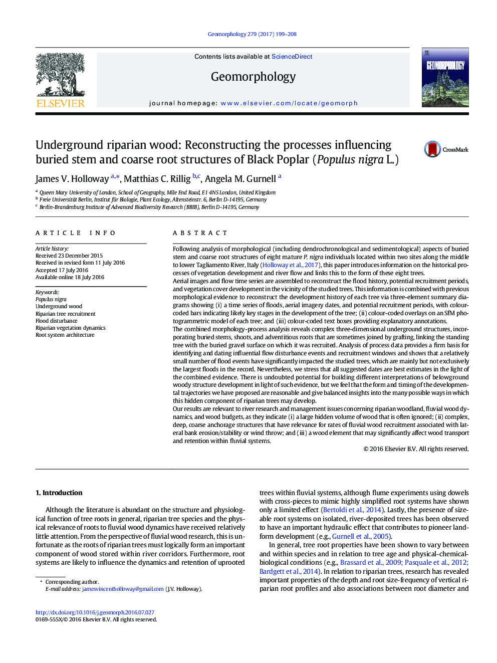 Underground riparian wood: Reconstructing the processes influencing buried stem and coarse root structures of Black Poplar (Populus nigra L.)