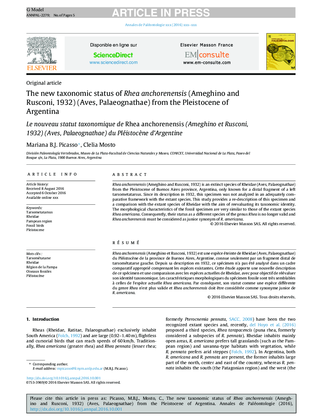 The new taxonomic status of RheaÂ anchorenensis (Ameghino and Rusconi, 1932) (Aves, Palaeognathae) from the Pleistocene of Argentina