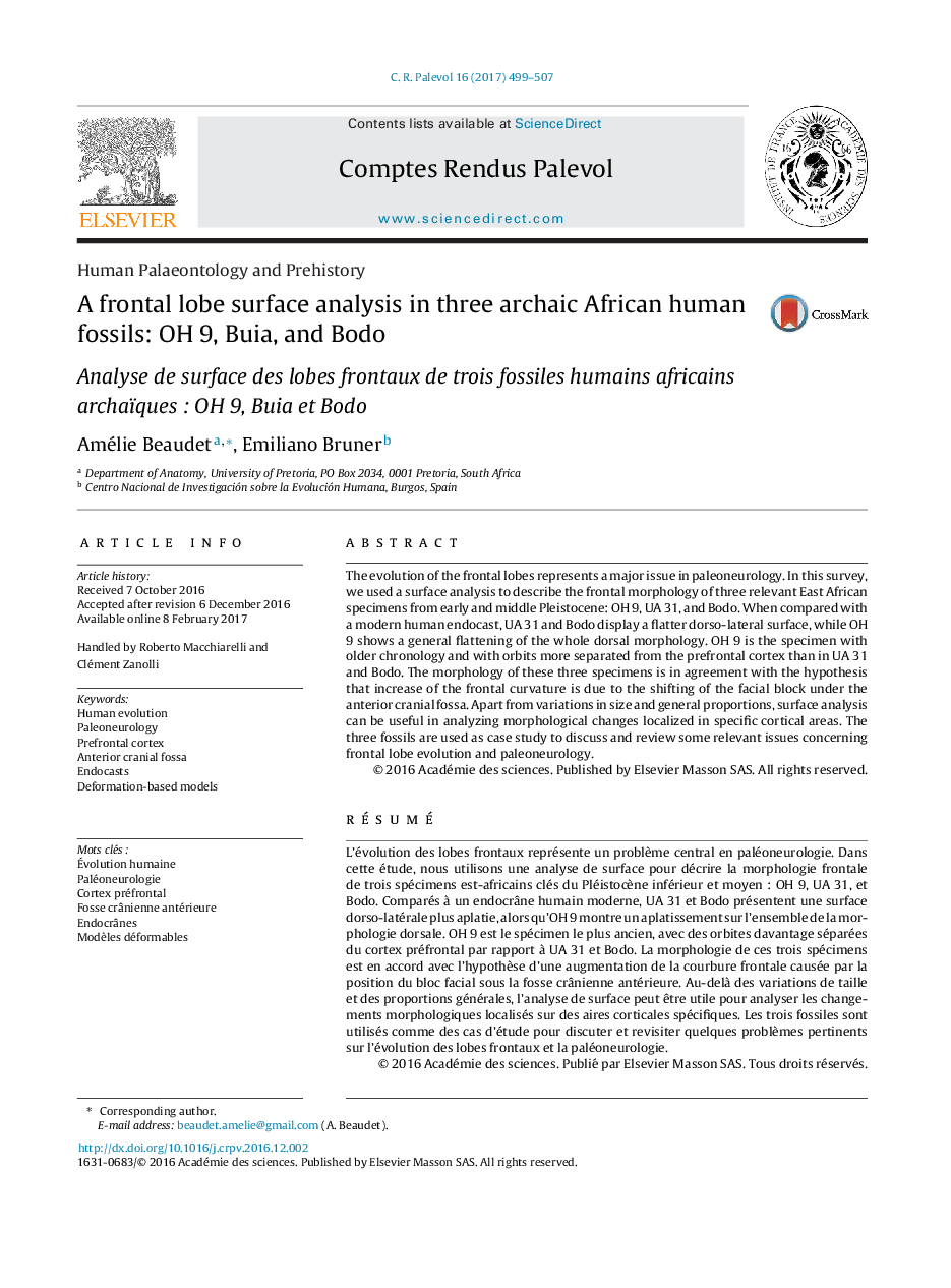 Human Palaeontology and PrehistoryA frontal lobe surface analysis in three archaic African human fossils: OH 9, Buia, and BodoAnalyse de surface des lobes frontaux de trois fossiles humains africains archaïquesÂ : OH 9, Buia et Bodo