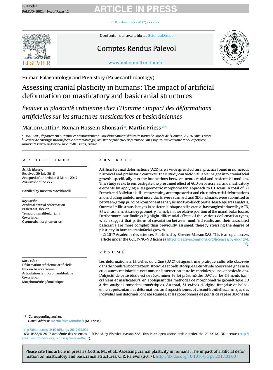 Assessing cranial plasticity in humans: The impact of artificial deformation on masticatory and basicranial structures