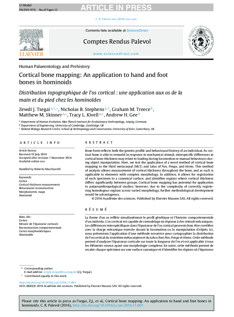 Cortical bone mapping: An application to hand and foot bones in hominoids