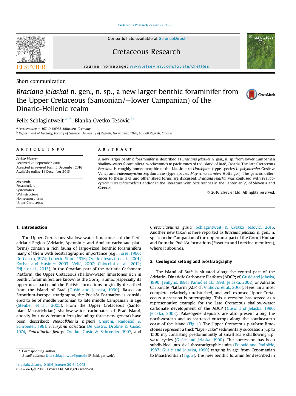 Braciana jelaskai n. gen., n. sp., a new larger benthic foraminifer from the Upper Cretaceous (Santonian?-lower Campanian) of the Dinaric-Hellenic realm