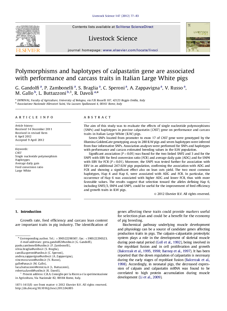 Polymorphisms and haplotypes of calpastatin gene are associated with performance and carcass traits in Italian Large White pigs