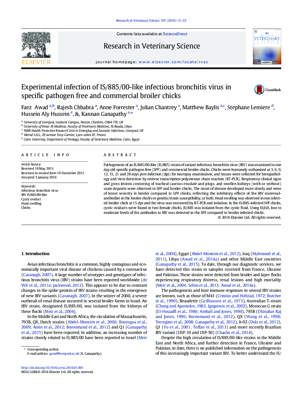 Experimental infection of IS/885/00-like infectious bronchitis virus in specific pathogen free and commercial broiler chicks