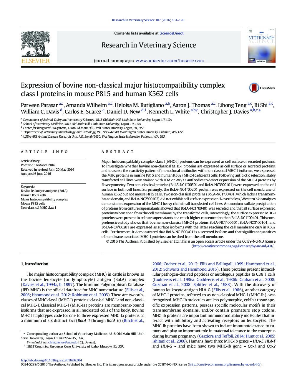 Expression of bovine non-classical major histocompatibility complex class I proteins in mouse P815 and human K562 cells