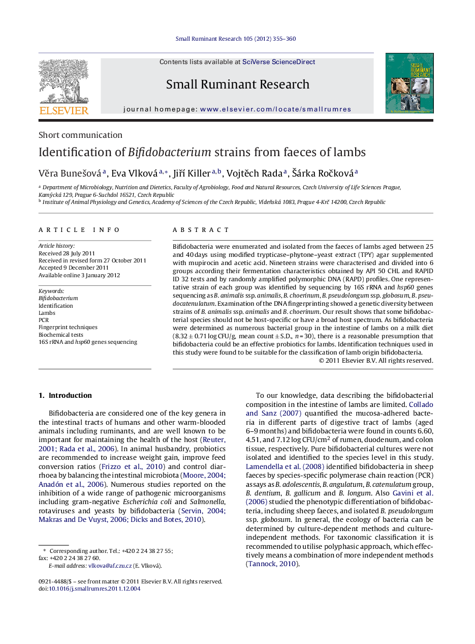 Identification of Bifidobacterium strains from faeces of lambs